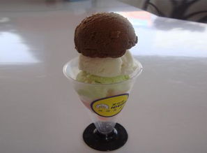 爱思茵 甜蜜时光的精致艺术